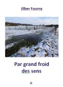 Par grand froid